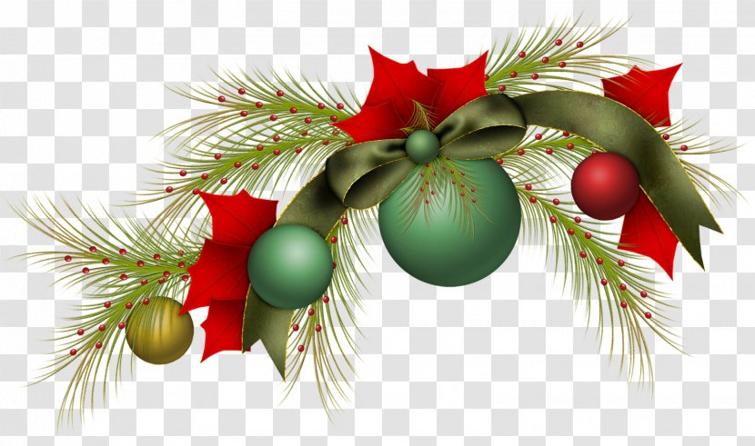 Christmas Tree Fir Branch Bombka - Bookworm Transparent PNG