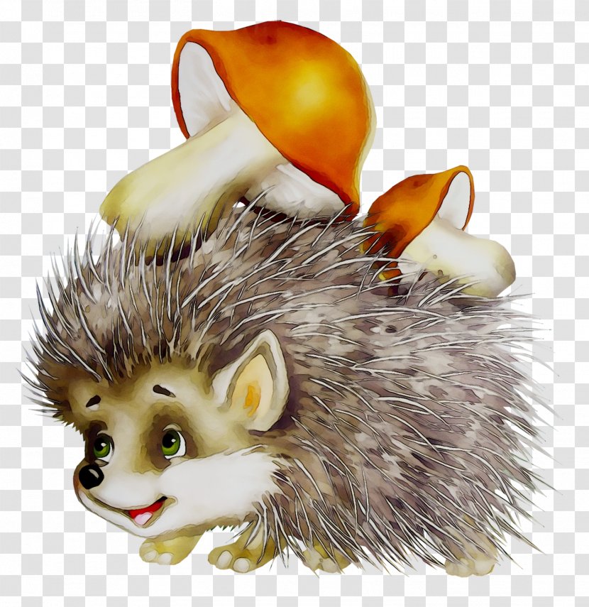 European Hedgehog Stock Photography Long-eared - Child - Porcupine Transparent PNG