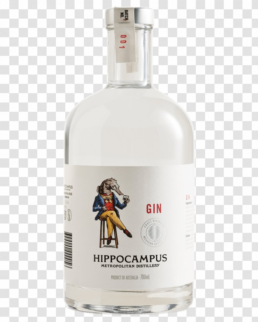 Liqueur Gin Vodka Alcohol By Volume Alcoholic Drink - Beverage Transparent PNG