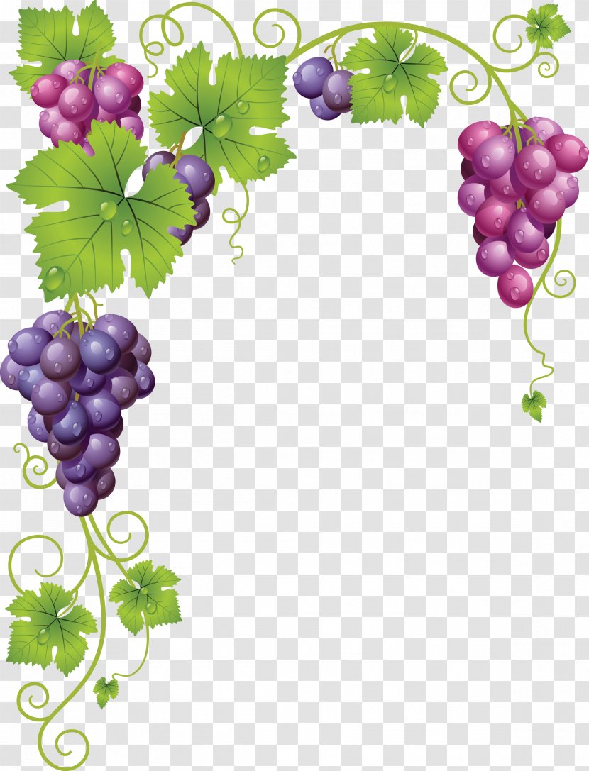 Grapevines Grape Leaves Wine - Grapes Transparent PNG
