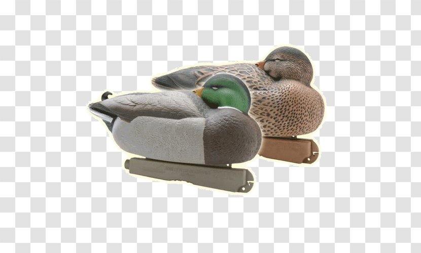 Mallard Duck Decoy Bird - Pajamas Transparent PNG