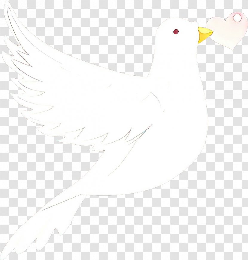 Duck Cartoon - Stork - Seabird Transparent PNG