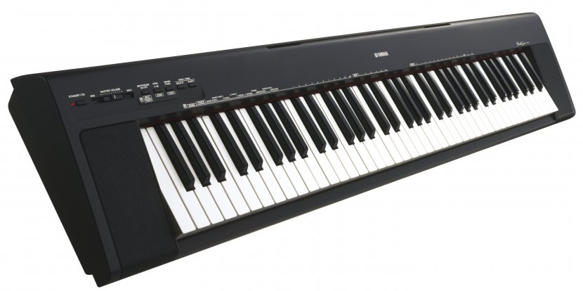 Nord Electro Stage Piano Keyboard Clavia - Silhouette Transparent PNG