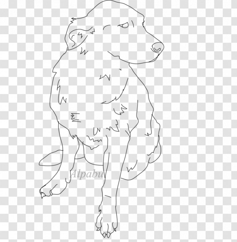 Dog Breed Line Art Sketch - Watercolor - Golden Lines Transparent PNG