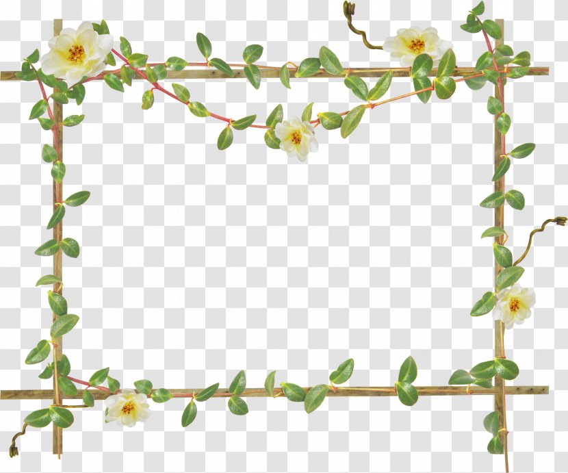 Picture Frames Photography - Plant Stem - Bamboo Transparent PNG