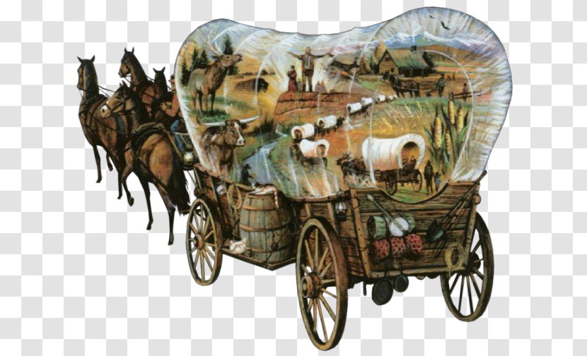 Land Vehicle Wagon Mode Of Transport Carriage - Horse Harness Chariot Transparent PNG