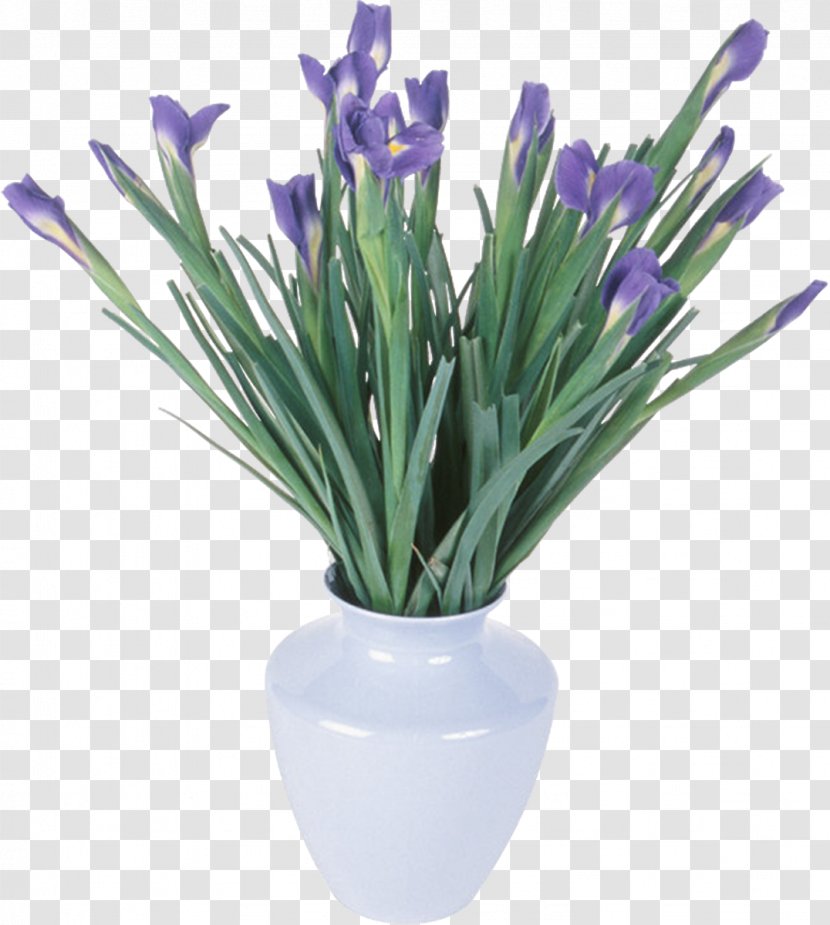 Irises Flower Clip Art - Vase - Mimosa Transparent PNG