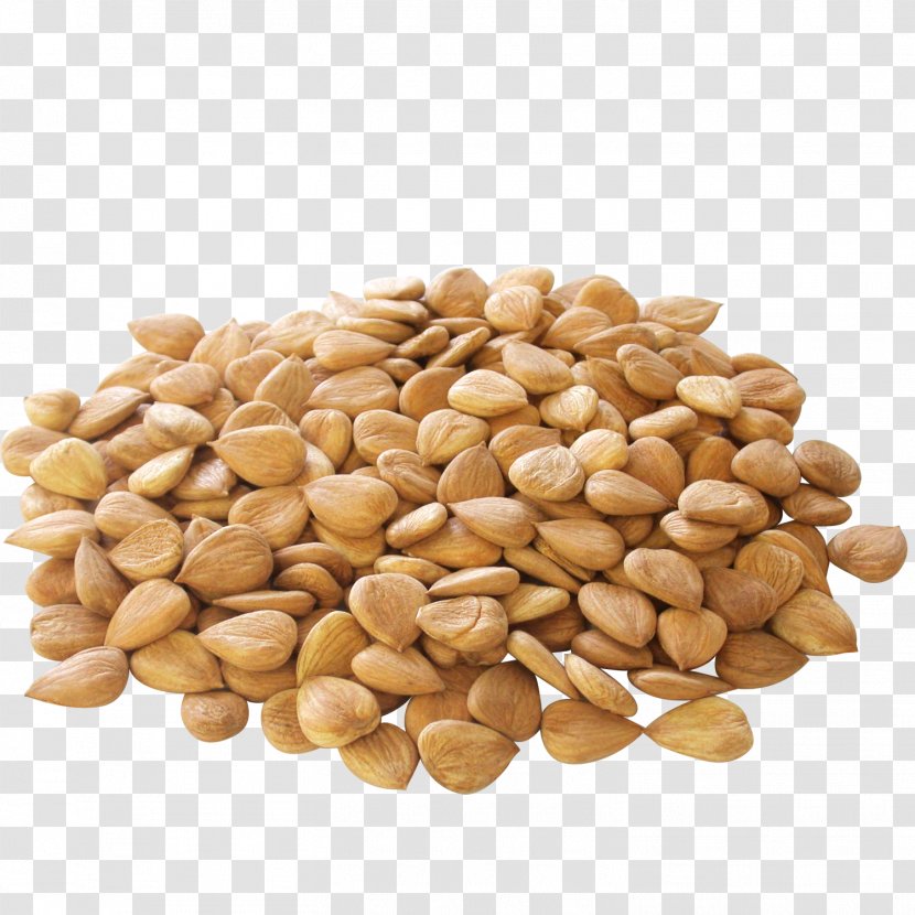 Apricot Kernel Nut Almond Seed Transparent PNG