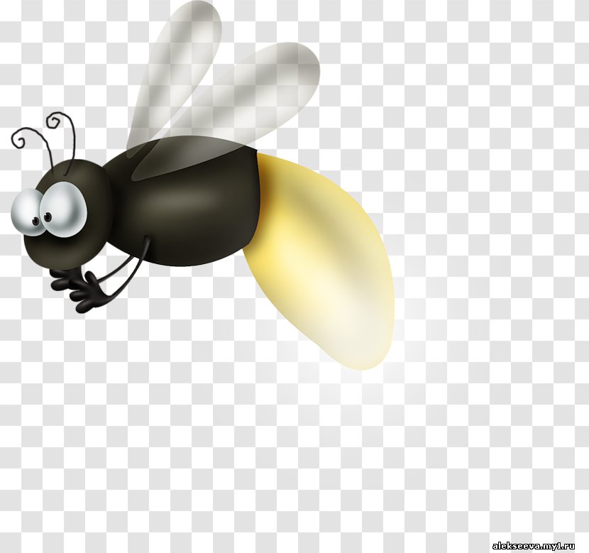 Ant Mosquito Insect Transparent PNG