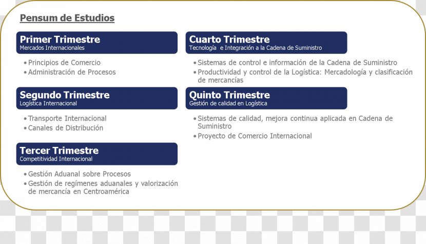 Web Page Learning Line Diagram Font - Media Transparent PNG