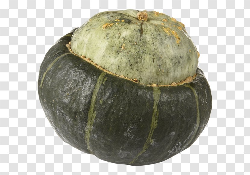 Gourd Winter Squash Cucurbita Calabaza Melon Transparent PNG