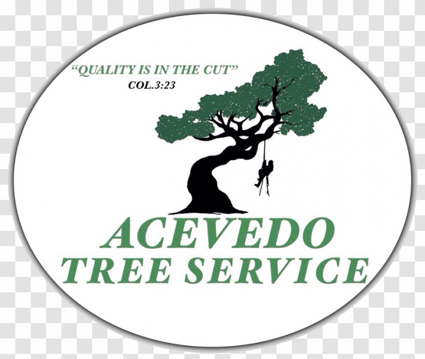 Seven King's Expert Tree Service & Stump Grinding Arborist Grinder - Root Transparent PNG