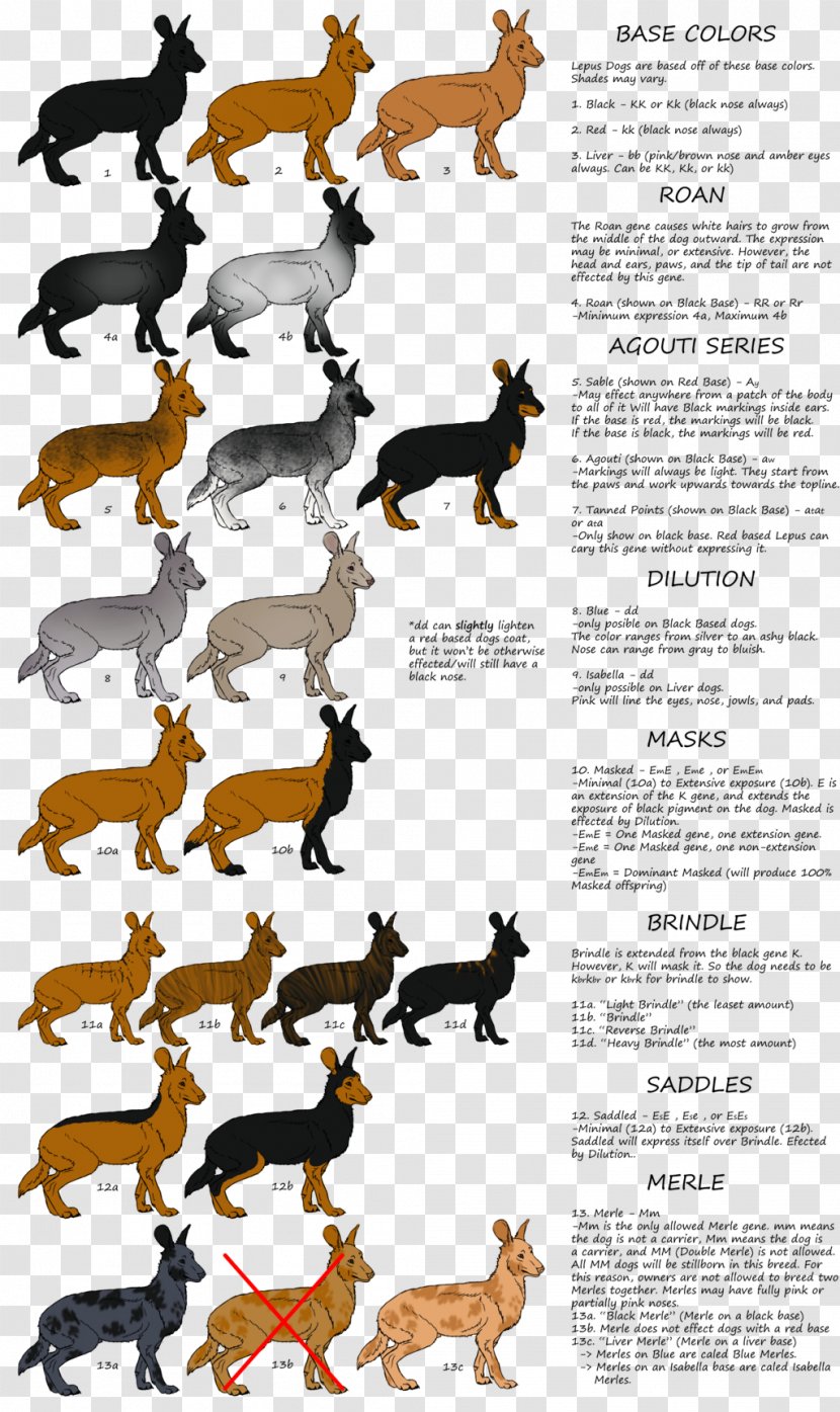 Dog Cartoon Wildlife Font - Fauna Transparent PNG
