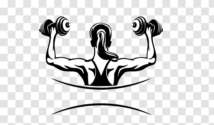 Physical Fitness Centre Exercise Bodybuilding - Hand Transparent PNG