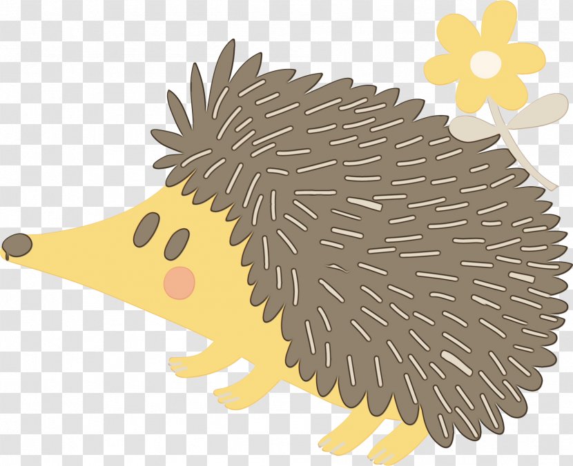 Watercolor Cartoon - Hedgehog - New World Porcupine Transparent PNG