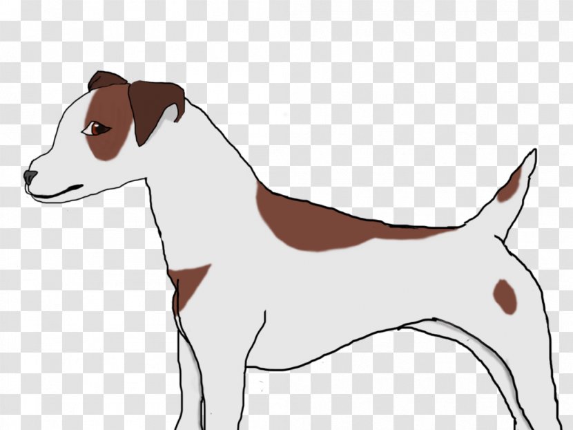 Dog Breed Jack Russell Terrier Italian Greyhound Puppy Transparent PNG