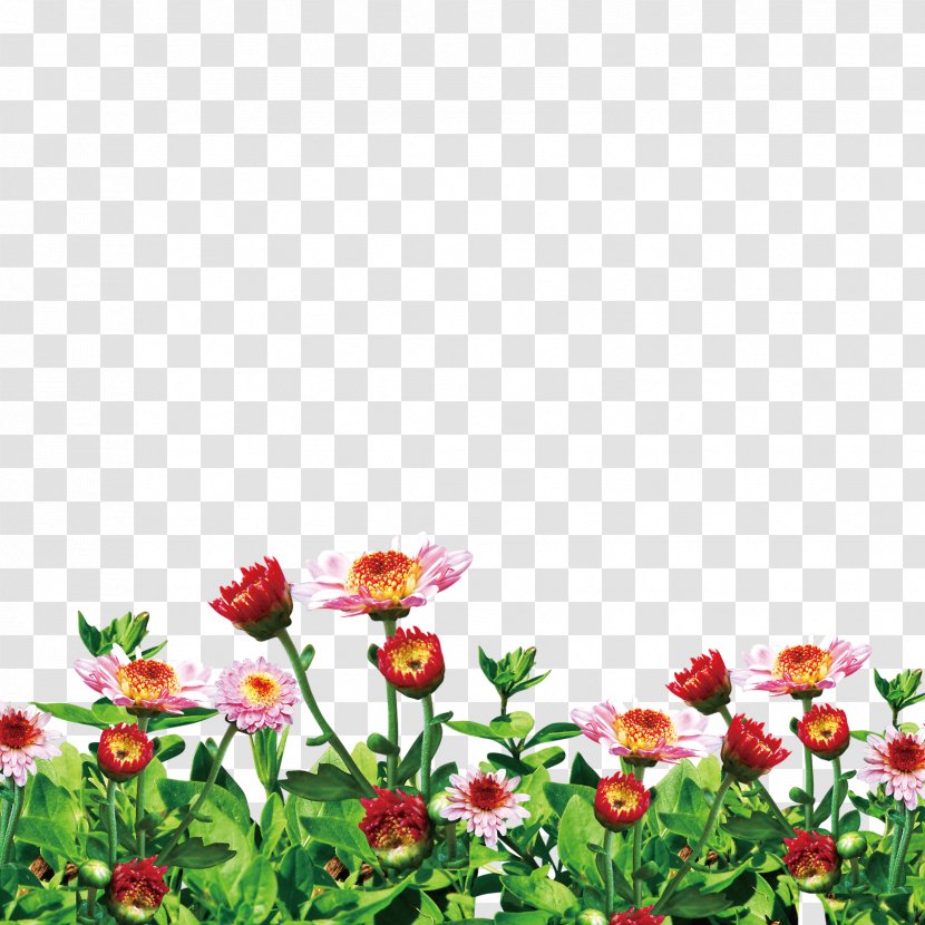Flower Garden Image Clip Art - Spring Transparent PNG