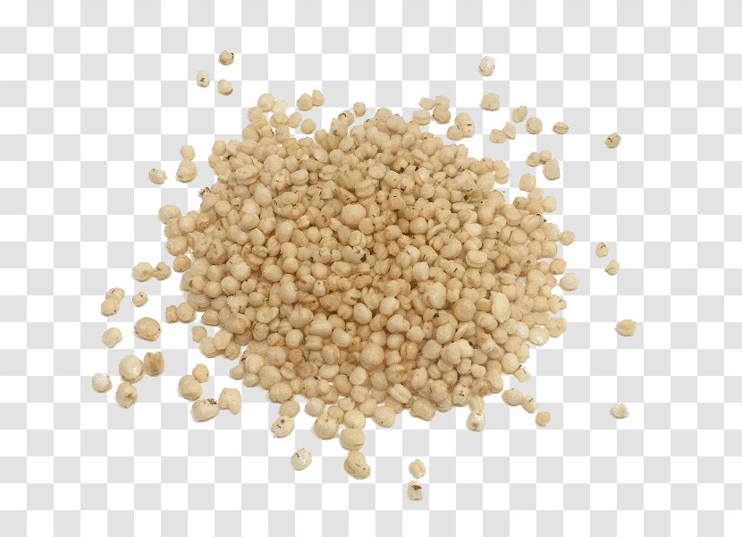 Cereal Germ Whole Grain Sorghum - Embryo - Cereales Transparent PNG