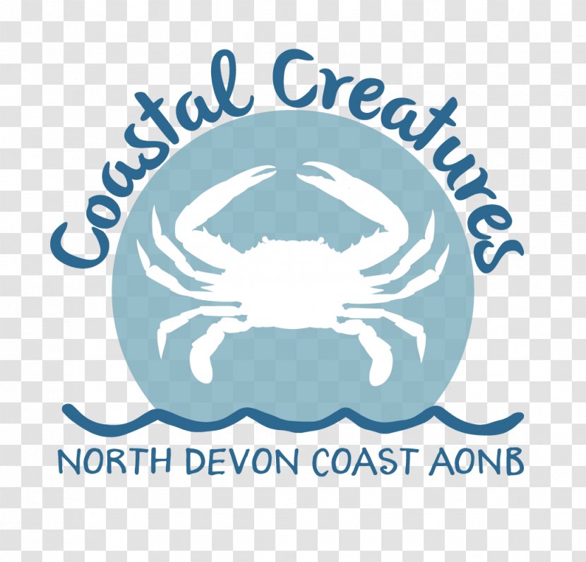 Georgeham Parish Council Croyde Coastal Blues: Mrs. Howard's Guide To Decorating With The Colors Of Sea And Sky Science - Text Transparent PNG