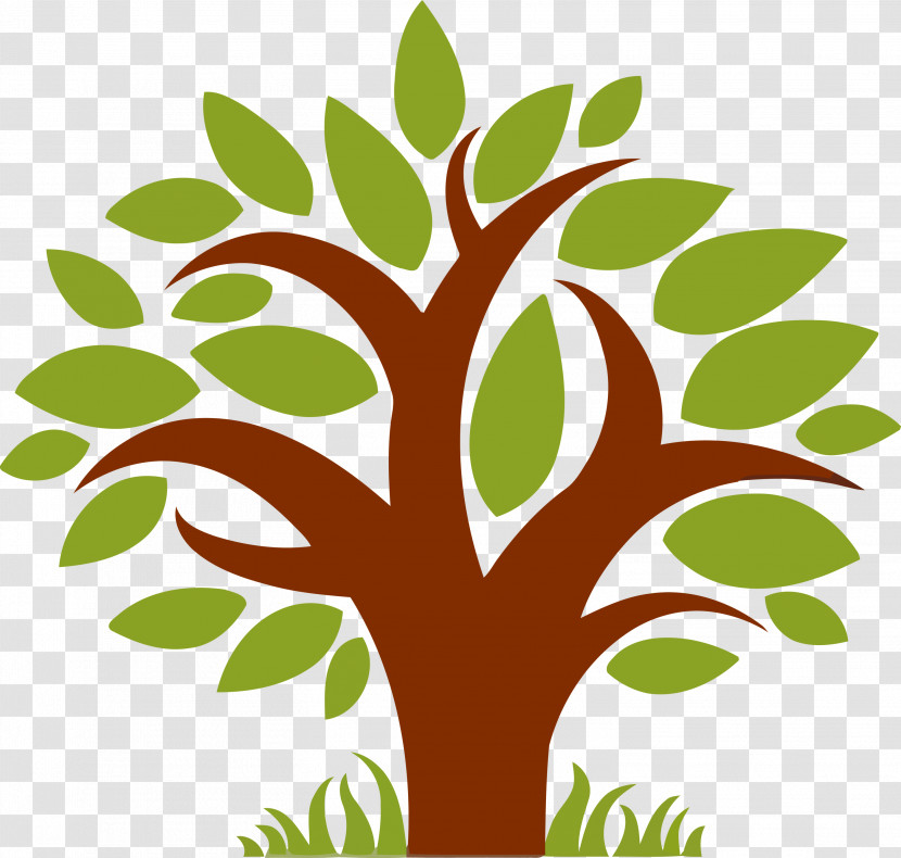 Tree Leaf Green Plant Woody Plant Transparent PNG