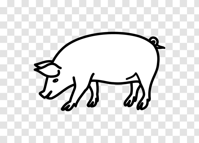 Domestic Pig Drawing Circus Line Art Clip Transparent PNG