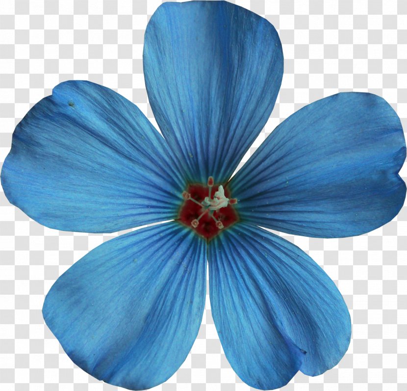 Blue Color Clip Art - Flower - Floral Transparent PNG