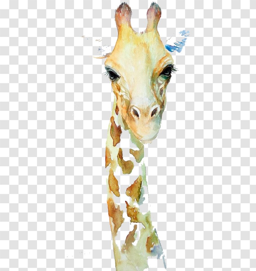 Watercolor Painting Acuarela/ Watercolor: Animals Drawing - Animal - Giraffe Girrafe Transparent PNG
