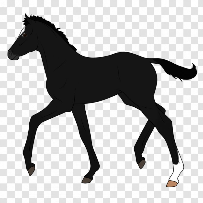 Dutch Warmblood Pony Stallion Mare Silhouette - English Riding Transparent PNG