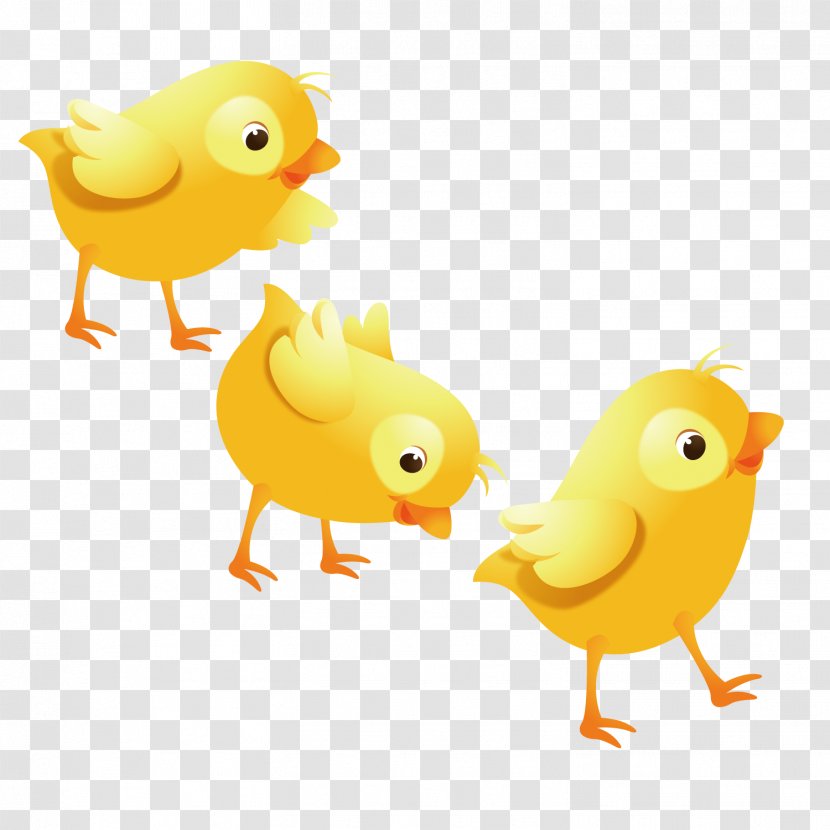 Chicken Buffalo Wing Duck Illustration - Lovely Transparent PNG