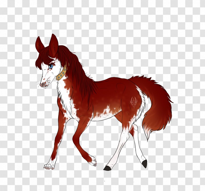 Foal Mustang Mare Stallion Halter - Animal Figure Transparent PNG