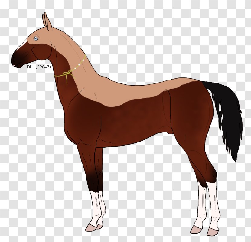 Mustang Foal Pony Mare Art - Sorrel Transparent PNG