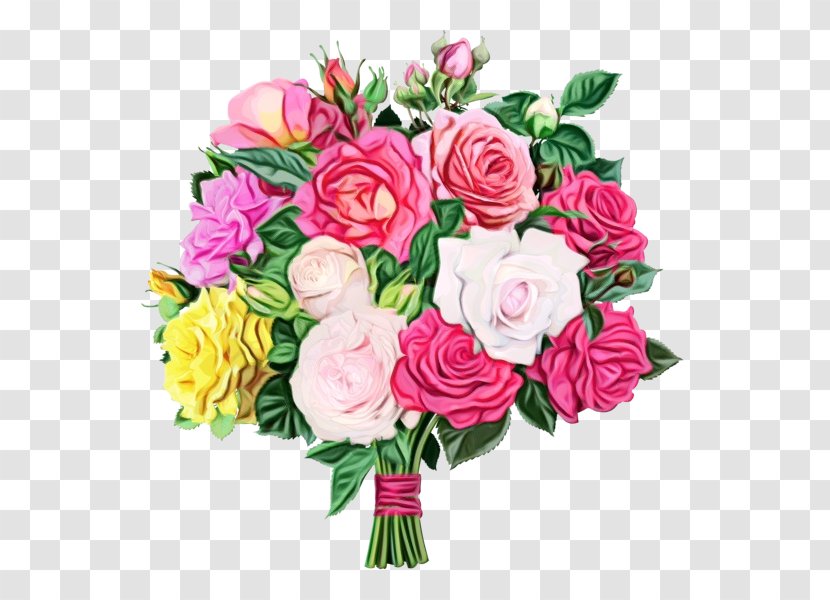 Watercolor Pink Flowers - Rose Order - Plant Stem Camellia Transparent PNG