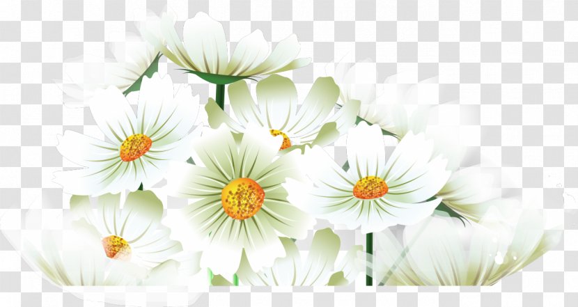 Citation Khanty-Mansi Autonomous Okrug Information - Flower - Camomile Transparent PNG