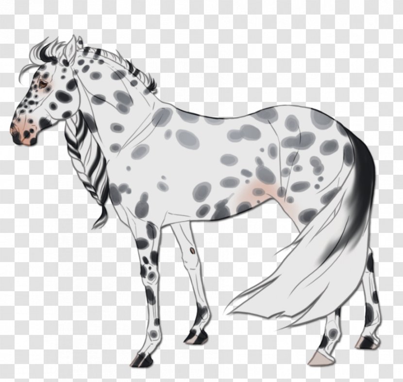 Mustang Stallion Mare Mane Quagga - Black And White - Ice Queen Transparent PNG