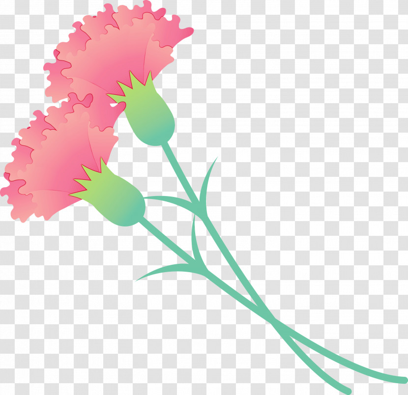 Flower Pink Plant Pedicel Cut Flowers Transparent PNG