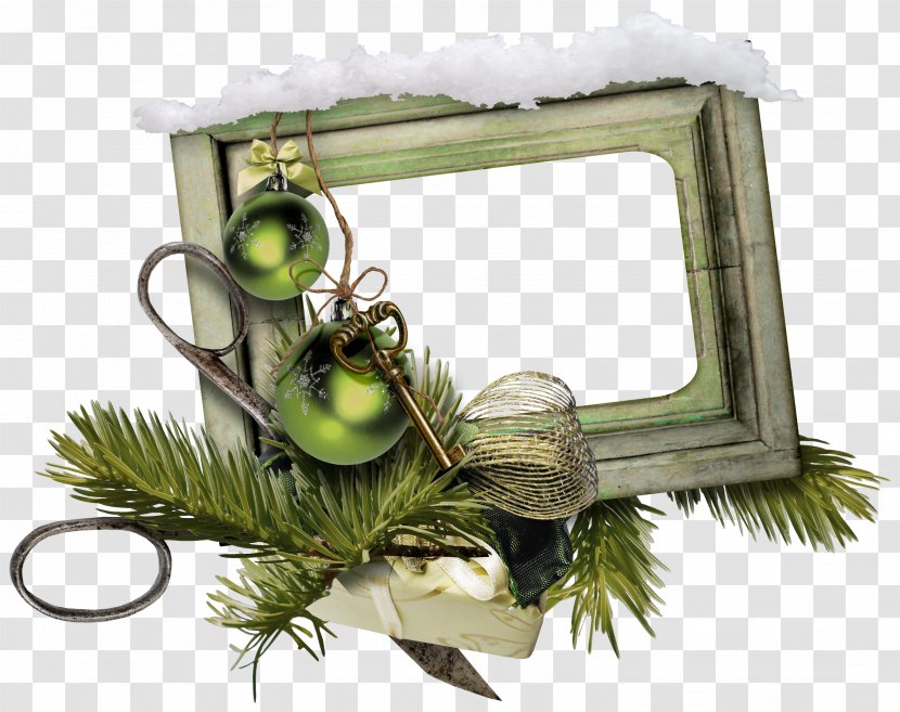 Christmas Photography - Picture Frames - Pine Needle Frame Transparent PNG