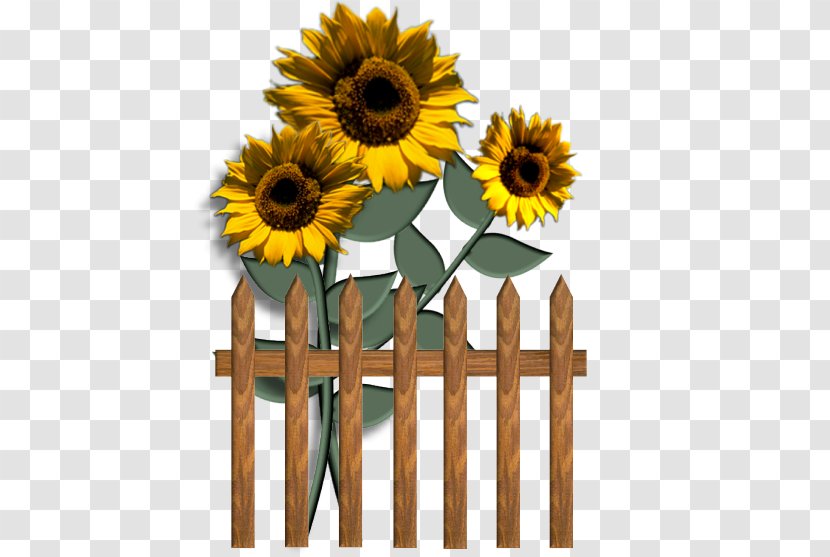 Common Sunflower Blog Clip Art - Floristry - Self-service Transparent PNG