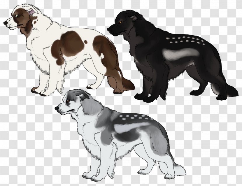 Dog Breed Stabyhoun Sporting Group Spaniel - Paw Transparent PNG