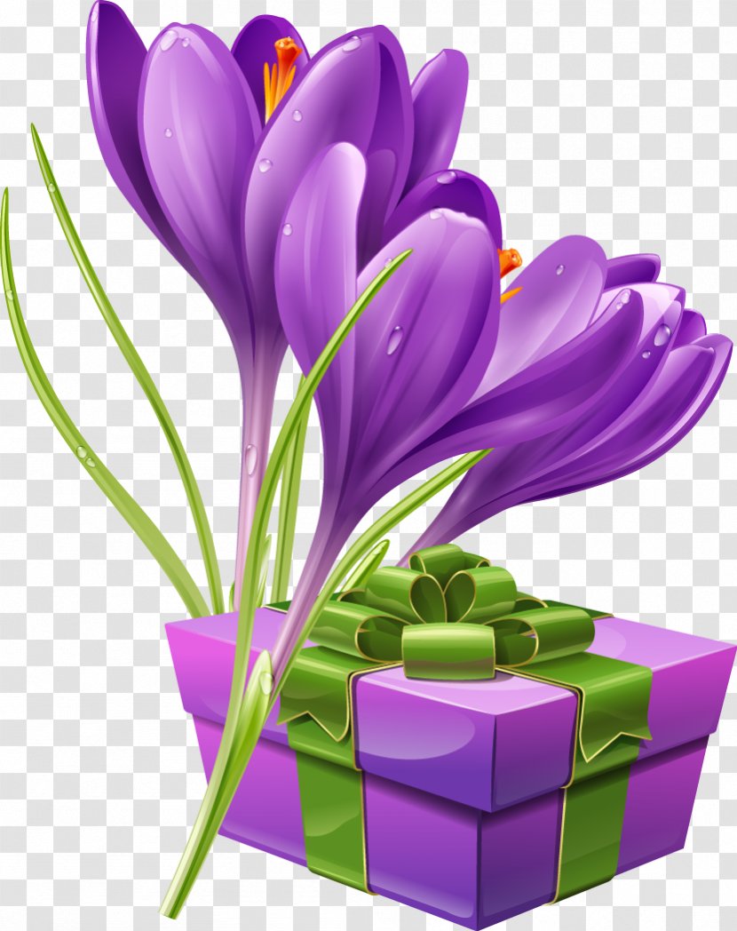 Flower Crocus Stock Photography Illustration - Petal - Beautiful Bouquet Of Purple Packs Transparent PNG