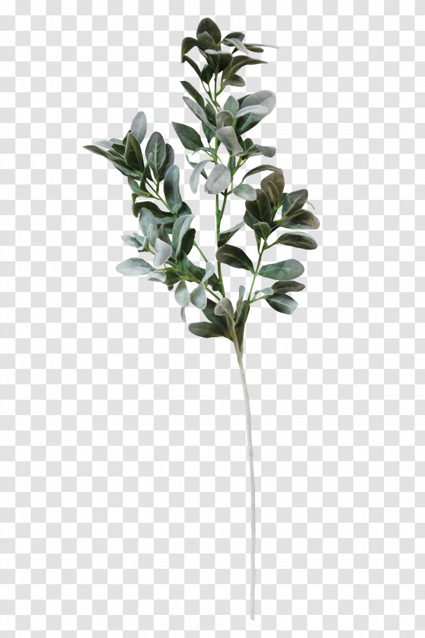 Wedding Invitation Paper Convite White - Flowerpot - Eucalyptus Leaf Transparent PNG