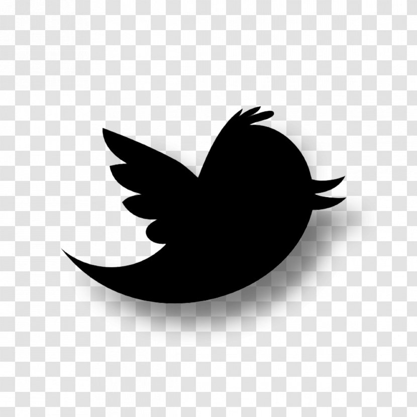 Logo Social Media - Leaf - Bird Transparent PNG