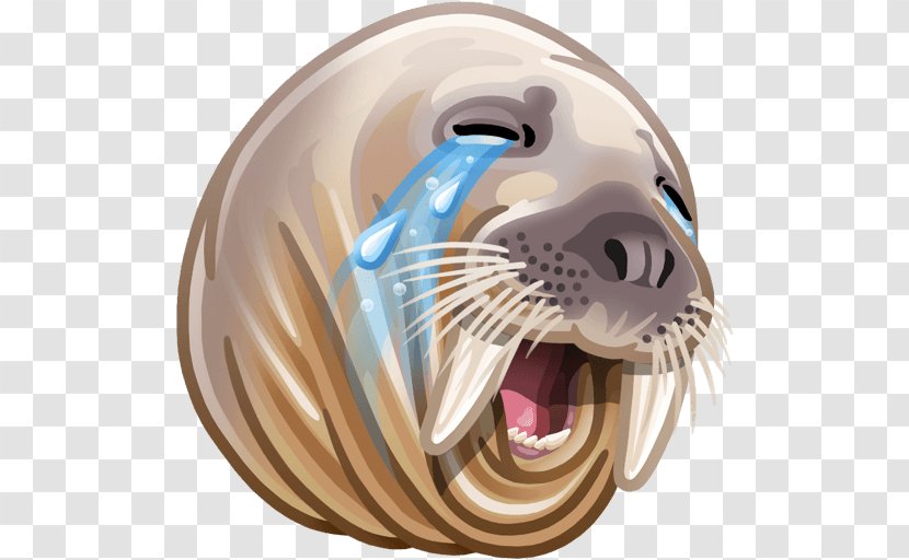 Sticker VK Walrus Telegram Odnoklassniki - Carnivoran Transparent PNG