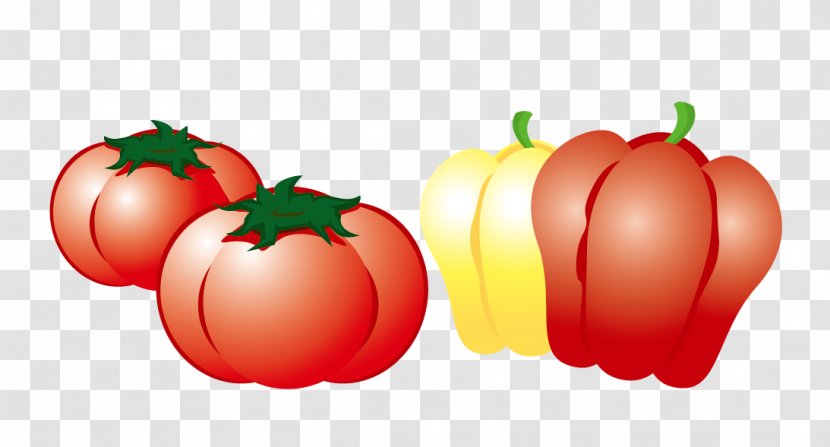 Tomato Bell Pepper Vegetarian Cuisine Vegetable - Vector Vegetables Transparent PNG