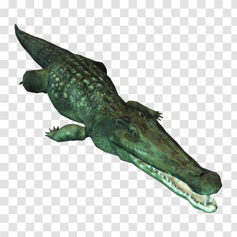 American Crocodile Render Alligators Tetrapods - Watercolor Transparent PNG