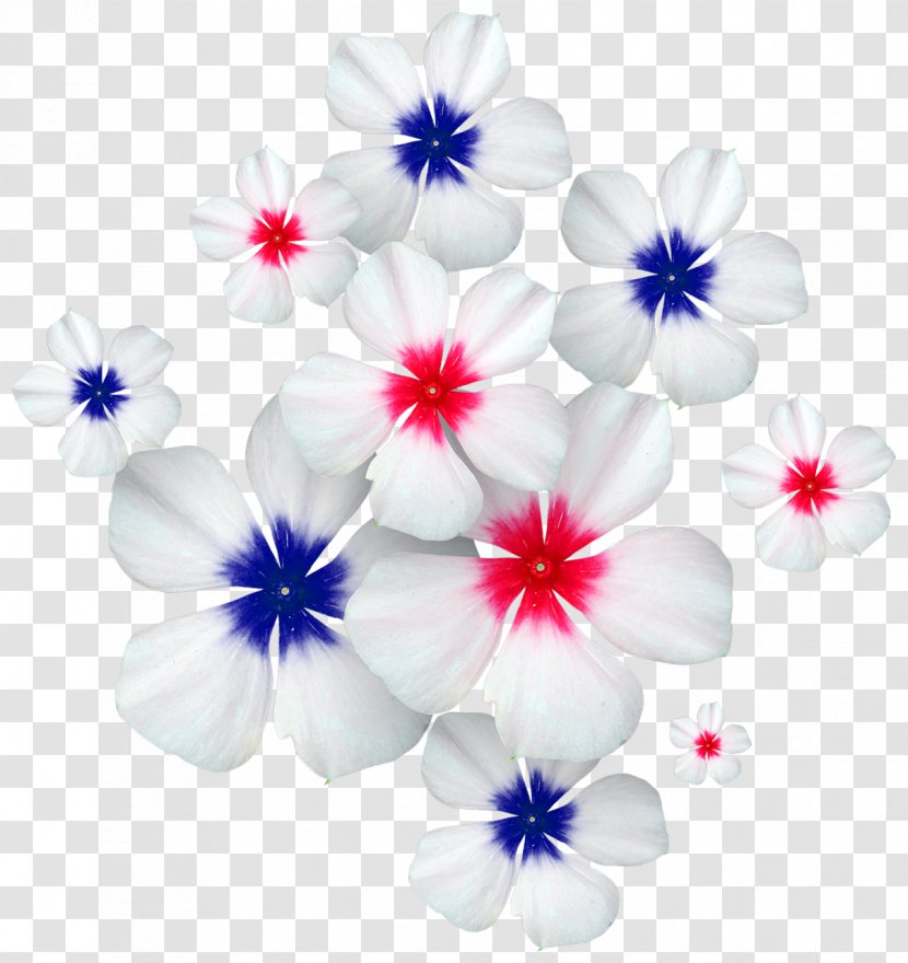 Flower Clip Art Transparent PNG