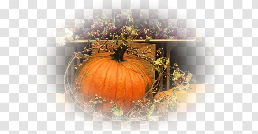 Pumpkin Autumn Polyvore Work Of Art Transparent PNG
