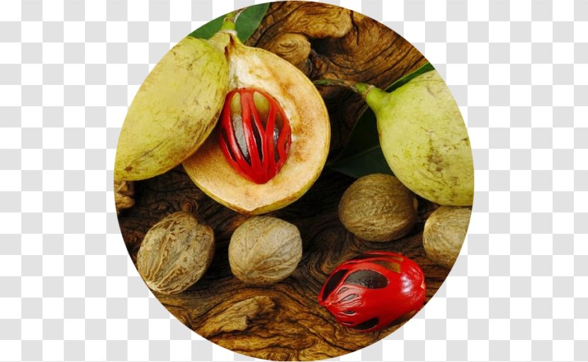 Nutmeg Banda Islands Mace Seed Flavor - Buah Transparent PNG