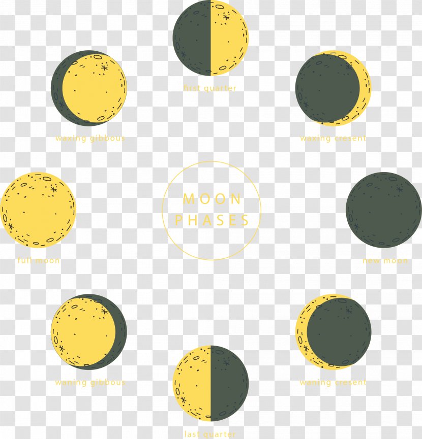 Lunar Phase Euclidean Vector Vecteur Computer File - Hand Painted Moon Transparent PNG