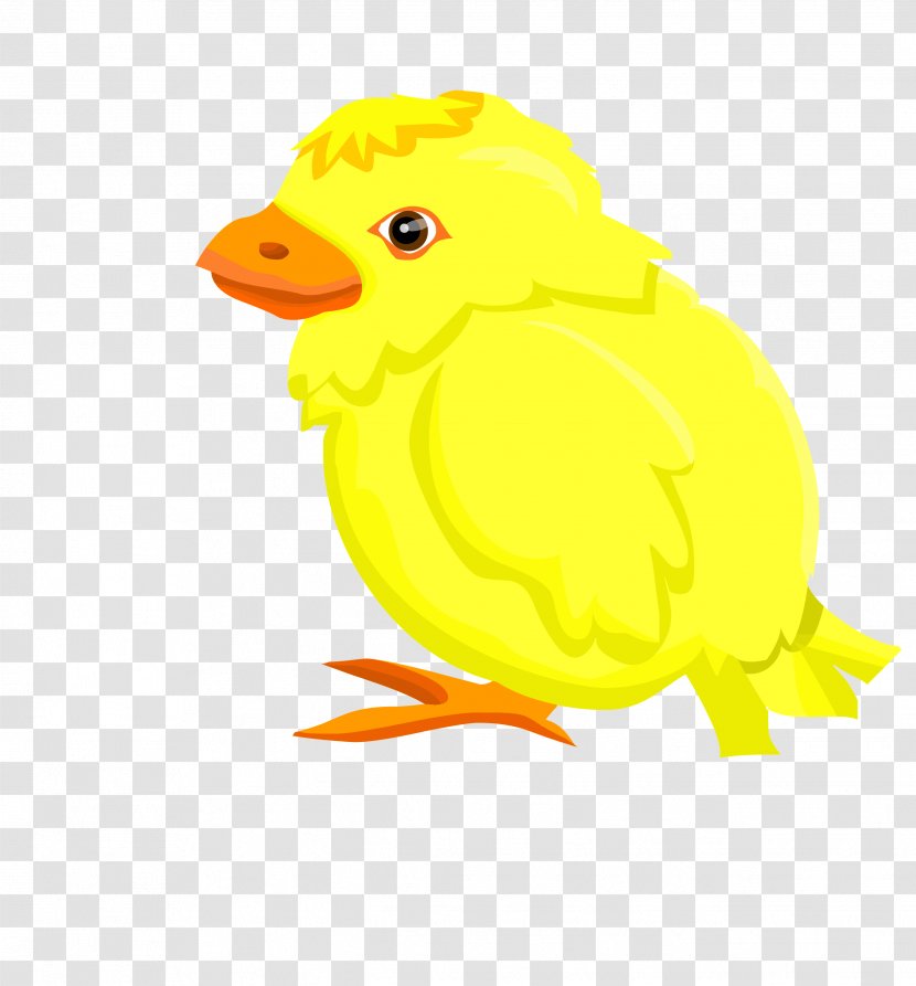 Bubble Chicken Yellow - Beak - Vector To The Left Standing Chick Transparent PNG