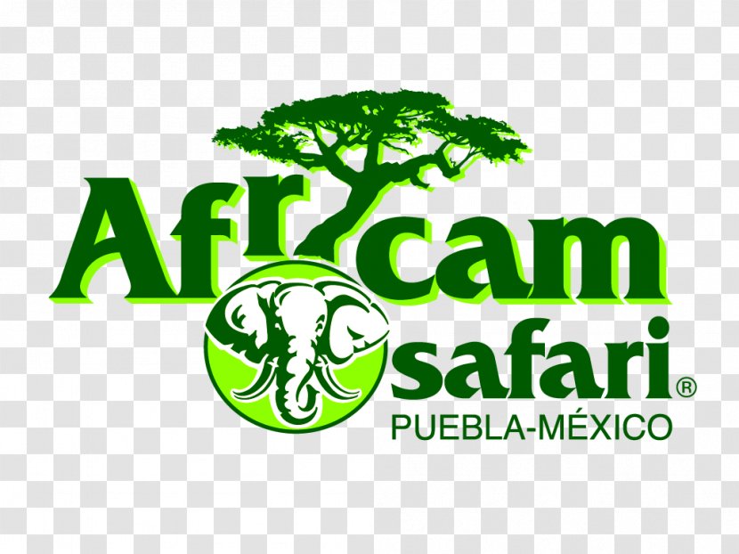 Africam Safari Tecali De Herrera Basabizitza Park Zoo - Conservation Movement - African Print Transparent PNG